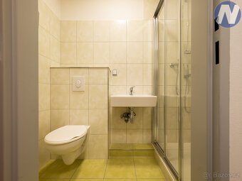 Pronájem bytu 1+kk Komenského, Husinec - 9