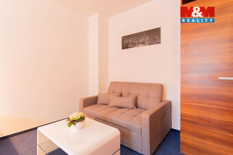 Prodej bytu 1+1, 42 m², Frymburk - 9