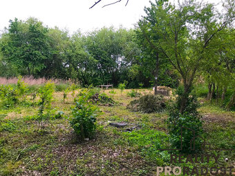 STAVEBNÍ POZEMEK PŘÍMĚTICE 1 369,5 m² S PROJEKTEM NA DŮM - 9