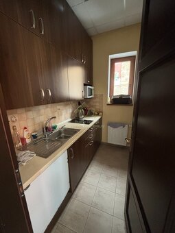 Rokycany – pronájem nebytových prostor - 9