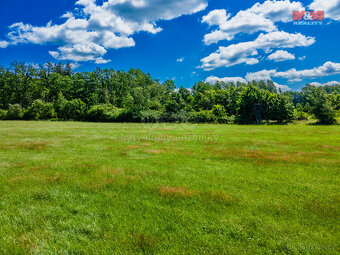 Prodej louky, 5551 m², Nové Mitrovice - 9