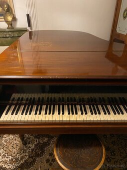 Klavírní křídlo - 9