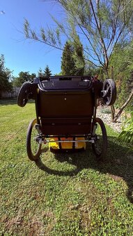 Thule Chariot Sport 2 Spectra Yellow - 2 sety - 9