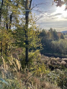 Prodám lesní pozemek na k. ú. Mikulovice u Jeseníka - 9
