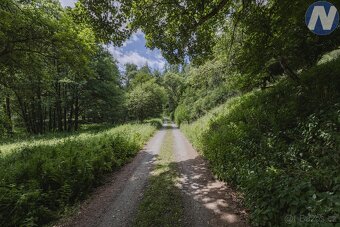 Prodej soustavy rybníků 1939 m2, Kříženec u Mariánských Lázn - 9