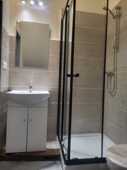 Pronájem bytu 1+kk 30m2 Strančice, Praha-východ - 9