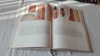 ATLAS hmyzích škůdců lesních dřevin - 9