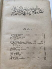 Z českých mlýnů - 9