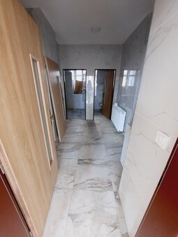 Lovosice-pronájem nebytových prostor 140 a 145 m2, centrum - 9