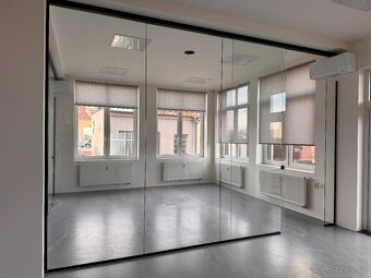 PRODÁM DVĚ CELOPROSKLENÉ PŘÍČKY - 9