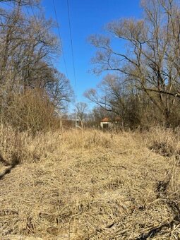 Prodám pozemky v k.ú. Starý Ples - 9