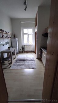 Pronájem bytu 1+1 K. Vary - Rybáře - 9