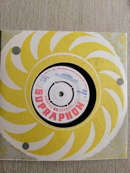 Gramofonové desky - 9