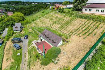 Prodej vinařství Konárovice - 9