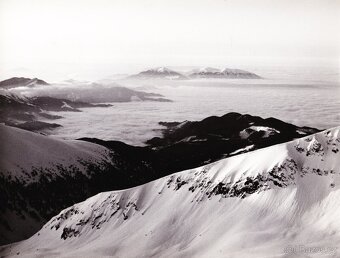 DEKORACE DO BYTU a KANCELÁŘE - 9