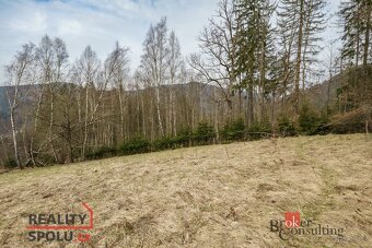 Prodej, pozemky/louka, 3901 m2, Dolní Rokytnice , Rokytnice - 9