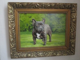 chovatelské potřeby - 9