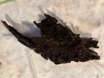 Kořeny do akvária - 9