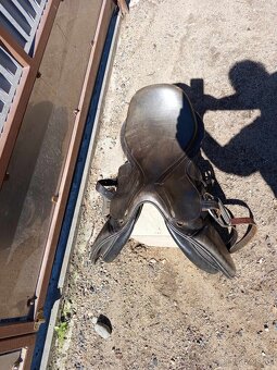 Naxos - 9