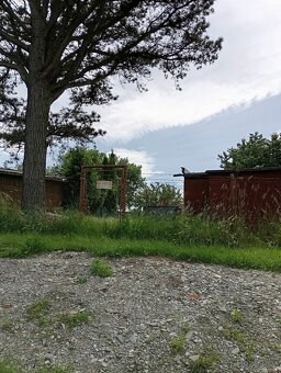 Zahrada po povodních(Krnov) - 9