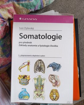 Střední zdravotnická škola 1,2,3,4 ročník - 9
