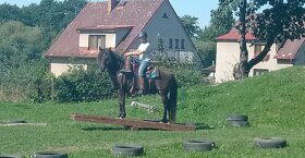 Koňský tábor , tábor s konmi, koně, jezdecký pobyt - 9