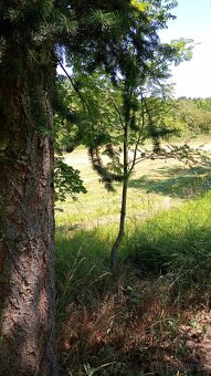 Zahrada u Loun, v obci Brodec, krásné okolí - 9