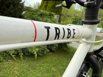 Prodám fixie/singlspeed kolo TRIBE - 9