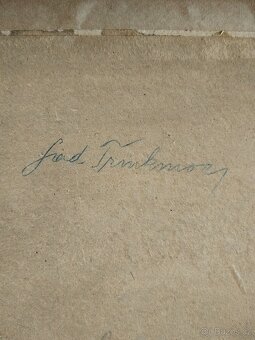 obraz HORSKÁ LOUKA, olej, sign. Trinkmoc - 9