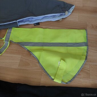 Výbava pro menšího psa (např. pro vipeta) za jednu cenu - 9