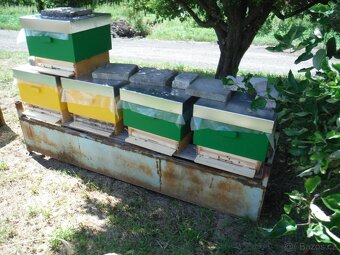Prodej včelstev i železných stojanů - 9