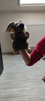 Hra šílený profesor a autíčka,plyšáci - 9