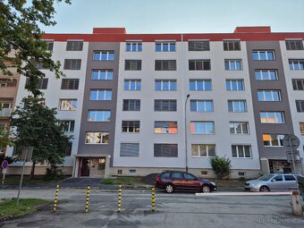 Prodám byt 3+1, 68 m², 2NP, lodžie, N. Frýda, Ov - Dubina - 9