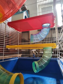 Klec pro křečka - 9