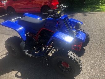 Yamaha Banshee 350 - 9
