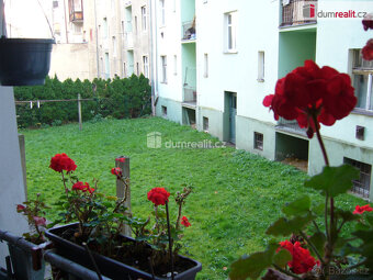 Pronájem bytu 2+1/L, Revoluční náměstí, Děčín - Podmokly - 9