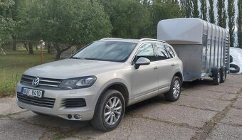 Možnost rezervace plemenných býků masný simentál - 9