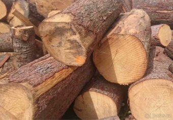 Palivové dřevo měkké - 9
