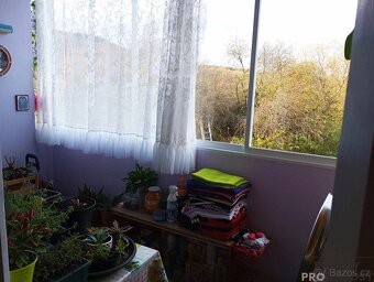 Prodej bytu 2+kk v osobním vlastnictví v Blatně, byt zahrada - 9