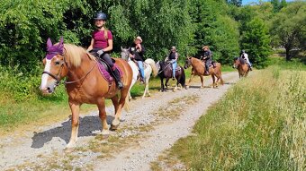 Podsedlová dečka značky kentaur - 9