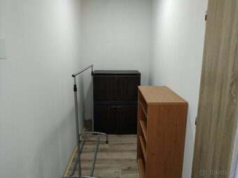 Pronájem bytu 1+kk 25 m2 Dobrotice - 9