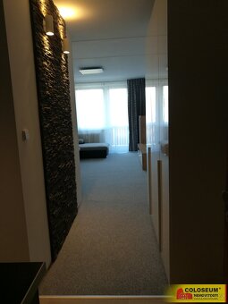 Uherský Brod, pronájem bytu OV 1+kk, 31 m2, lodžie, rekonstr - 9