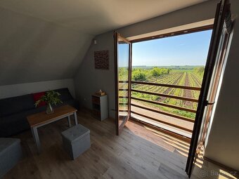 Prodej domu 118 m² - Moravský Žižkov, penzion ve vinici - 9