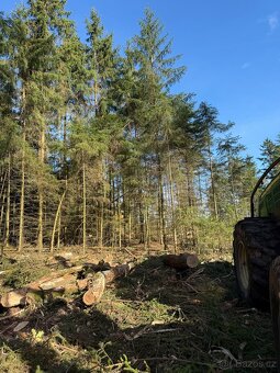 Prodej lesního pozemku v k.ú.Domašín okr.Vlašim - 9