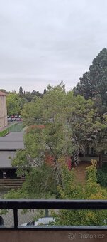 Byt 3+1 cihla Plzeň Bory Máchova ulice - 9