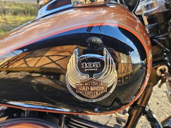 HARLEY DAVIDSON DYNA LOW RIDER 96CU Twin cam EDICE 105th - 9