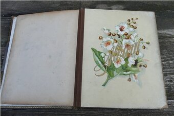 Alba na kabinetní fotografie, secesní fotoalbum - 9