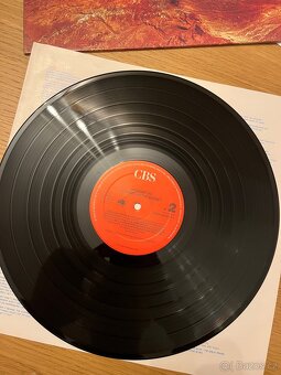 Midnight Oil – Red Sails In The Sunset - 9