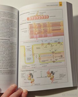 Učebnice BAREVNÝ ATLAS BIOCHEMIE - Jan Koolman NOVÁ - 9