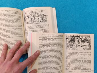 MEZI HORAMI A LESY J.H.Týnecký - 9
